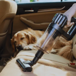 Best Car Vacuum Cleaner for Pet Hair: Top 5 Compared