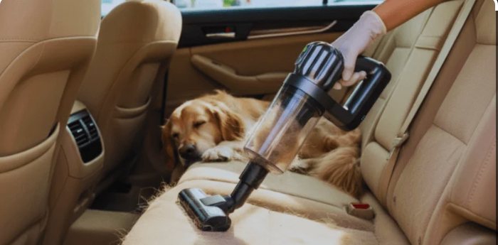 Best Car Vacuum Cleaner for Pet Hair: Top 5 Compared